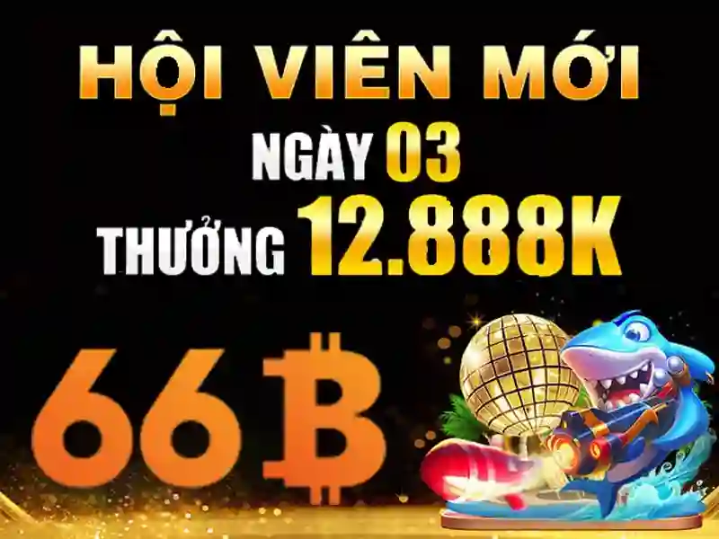 code 66b – Giới thiệu sáng tạo về thương hiệu