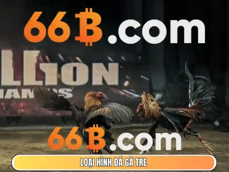 tiến lên 66b – Hành trình vững bước vào thế giới số