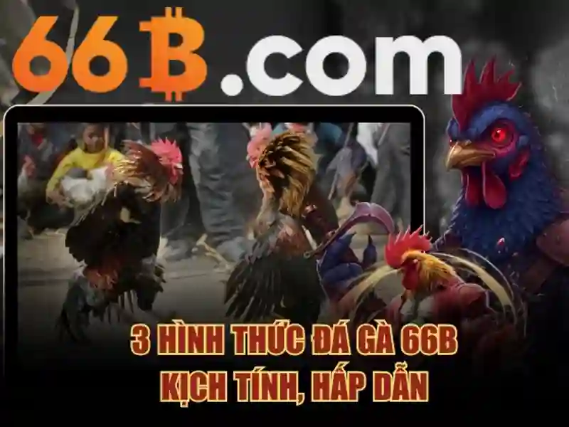 Kiến trúc và phân bổ tham số