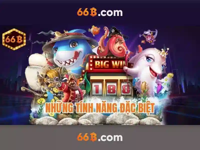 66B là gì?