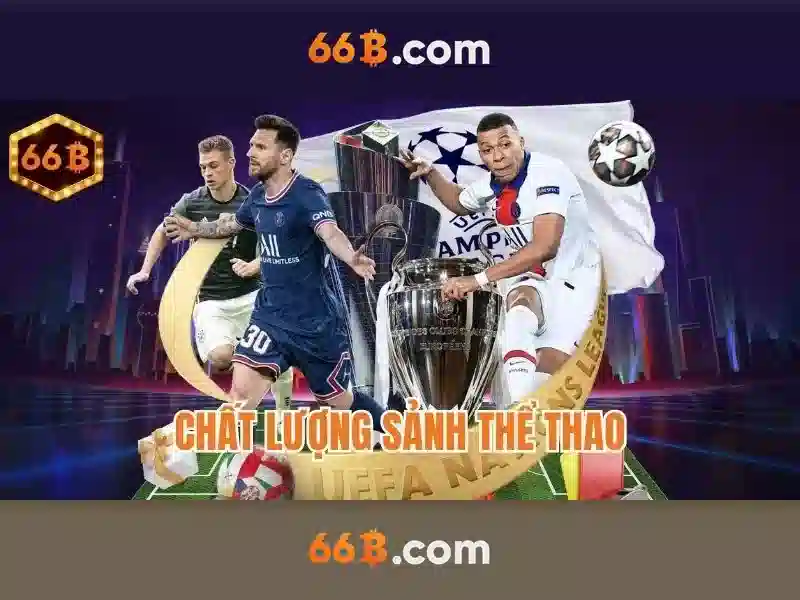 Phản hồi người dùng và cộng đồng