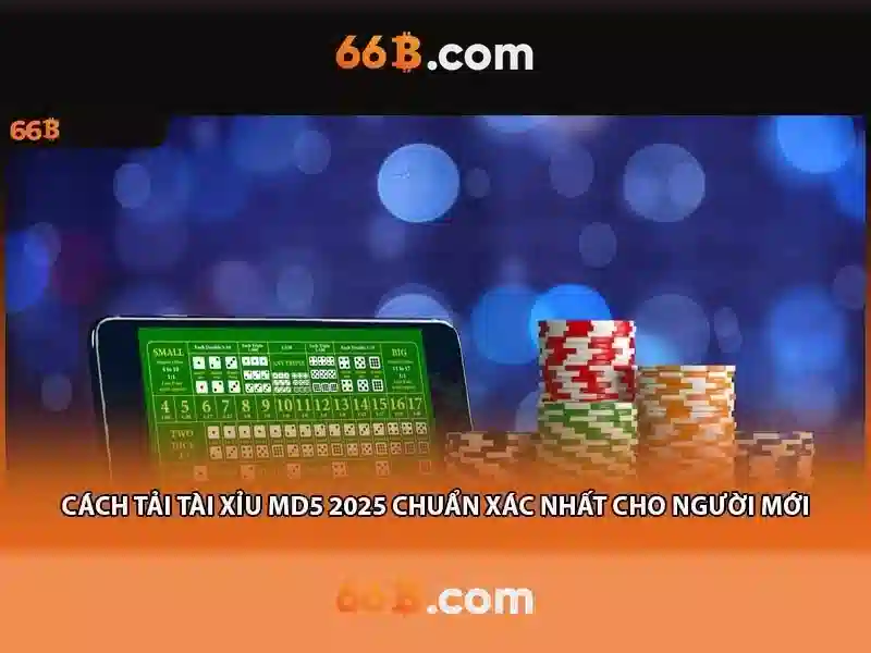 66B là gì?