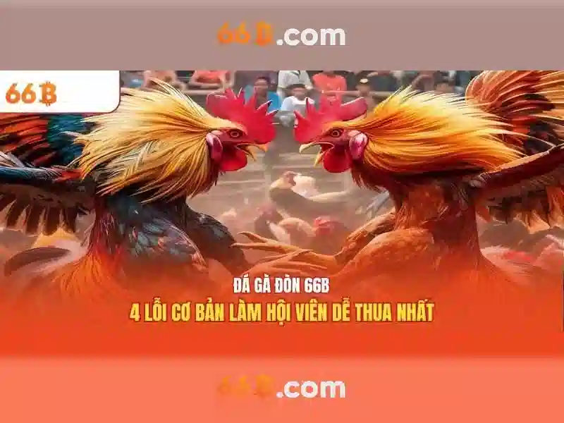 Cấu hình và kích thước