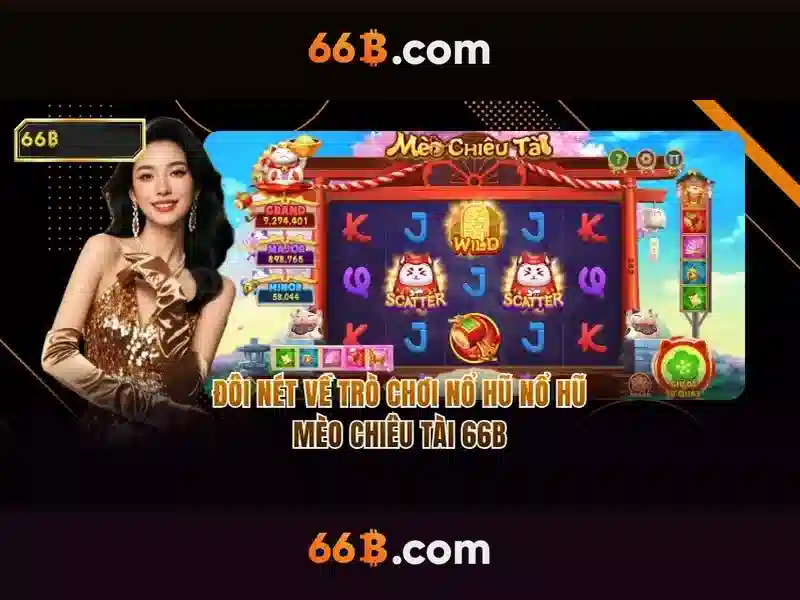 66B là gì?
