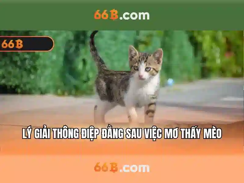 Ví dụ thực tiễn và cách diễn giải<h>Khía cạnh lý thuyết và mở rộng</h><p><span style=