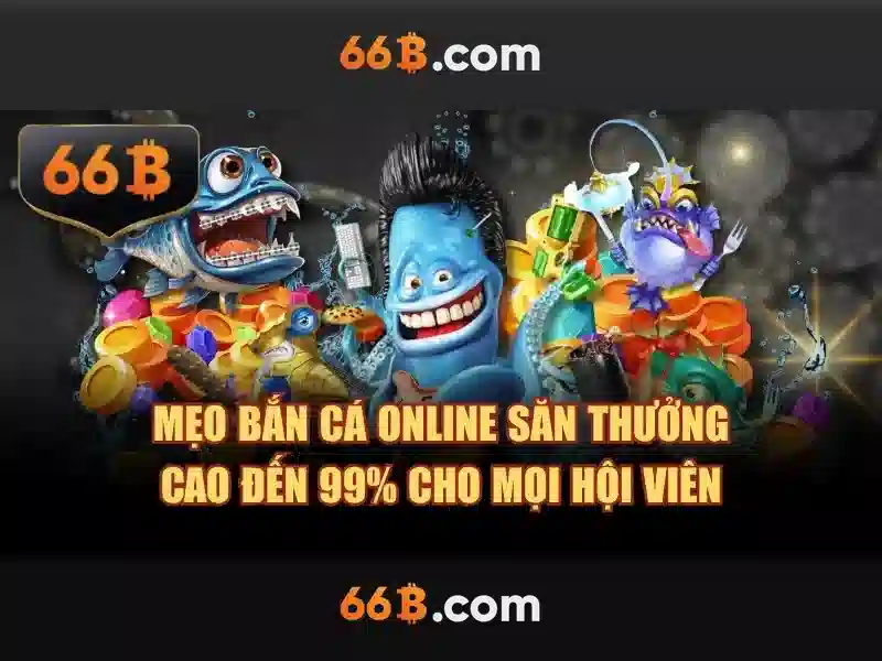 66B là gì