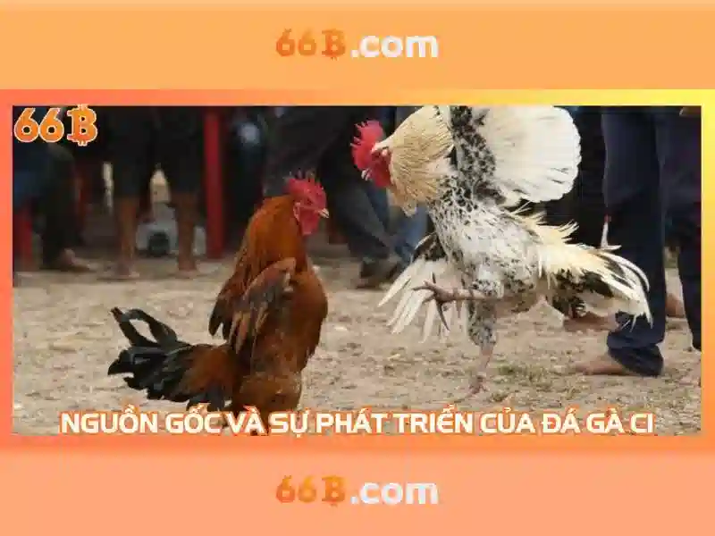 Kiến trúc và cách hoạt động
