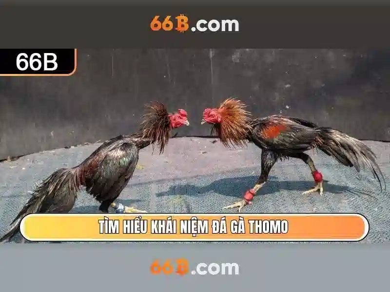 Ứng dụng và thách thức