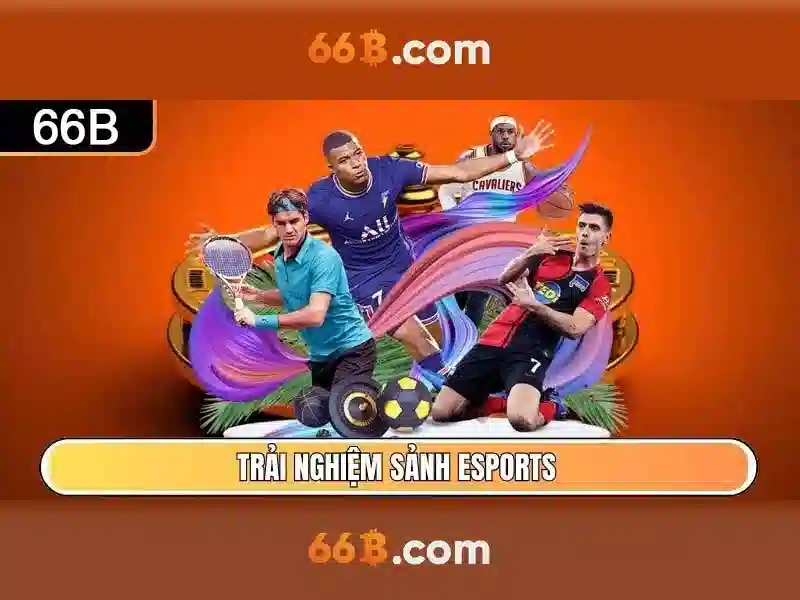 Ứng dụng của 66b trong doanh nghiệp