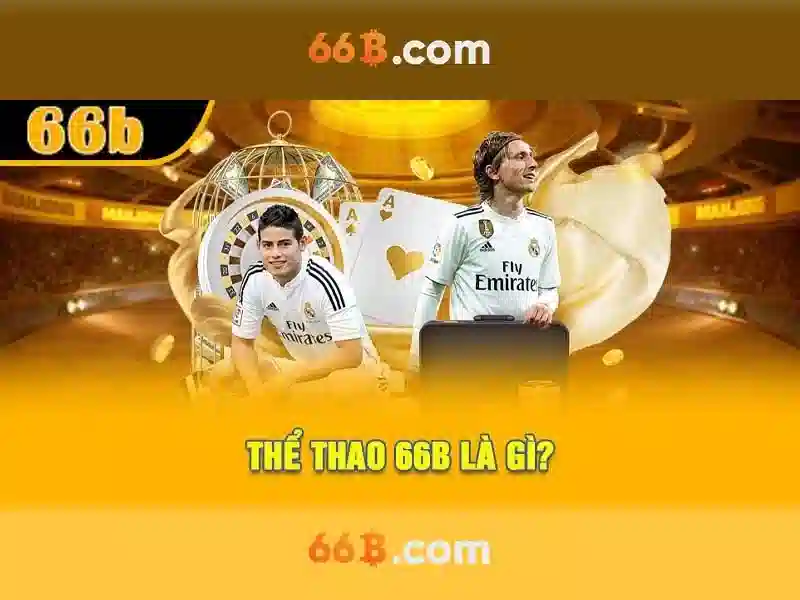 Khái niệm và phạm vi của 66B