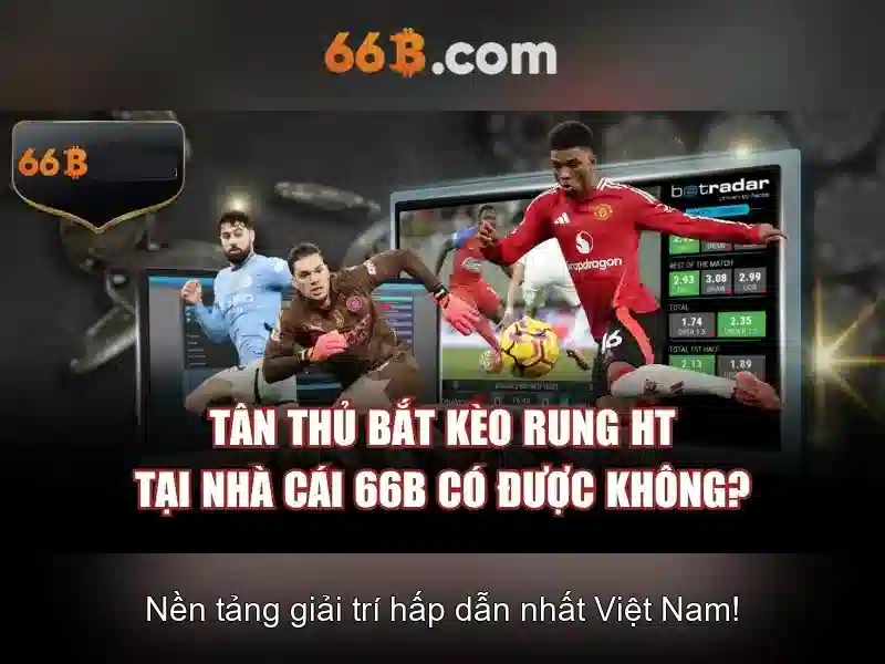 66B: Kích thước áo ngực và cách chăm sóc Giao diện nhà cái hoàn hảo