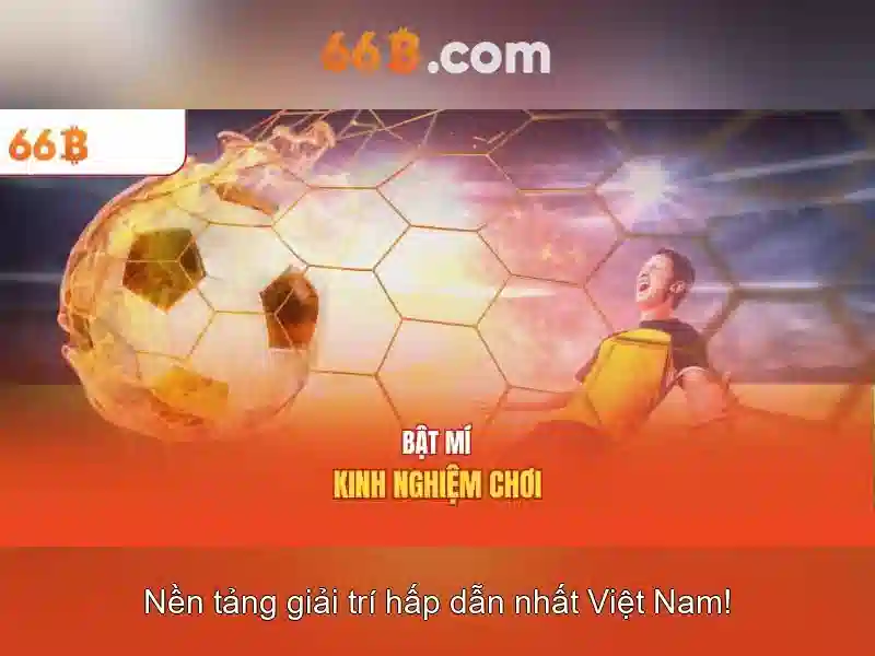 Giới thiệu về 66B