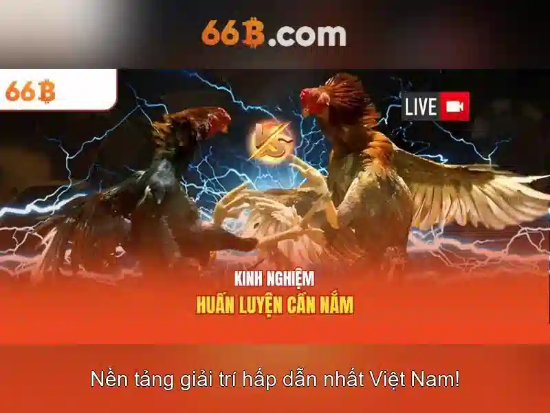 Ứng dụng của 66B trong doanh nghiệp<h>Lợi ích và thách thức khi triển khai 66B</h><p><span style=