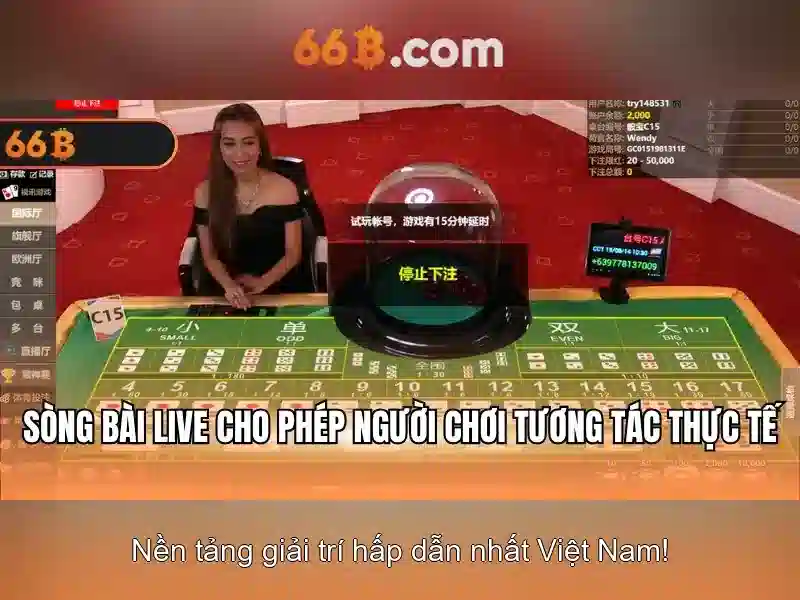 66B là gì và tại sao nó quan trọng