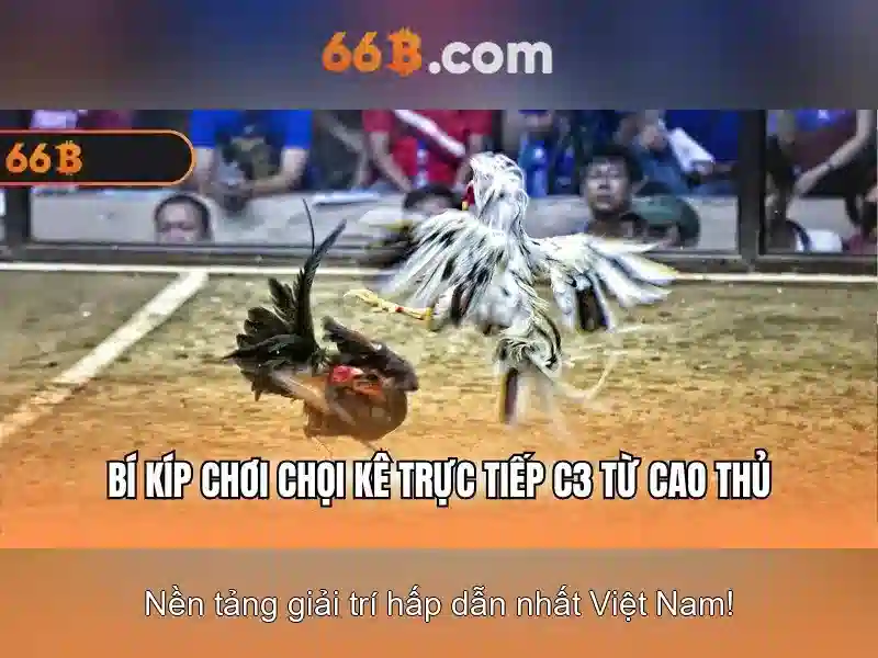 Giao diện nhà cái hoàn hảo