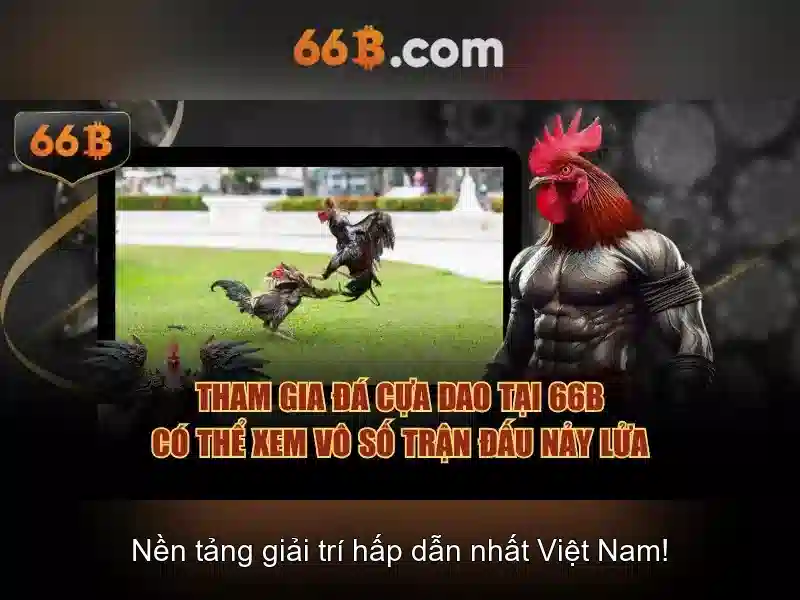 Khám phá 66B và nguồn gốc