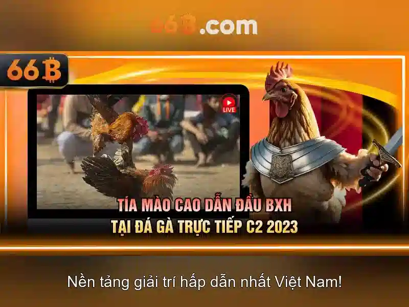 Kiến trúc và quy mô