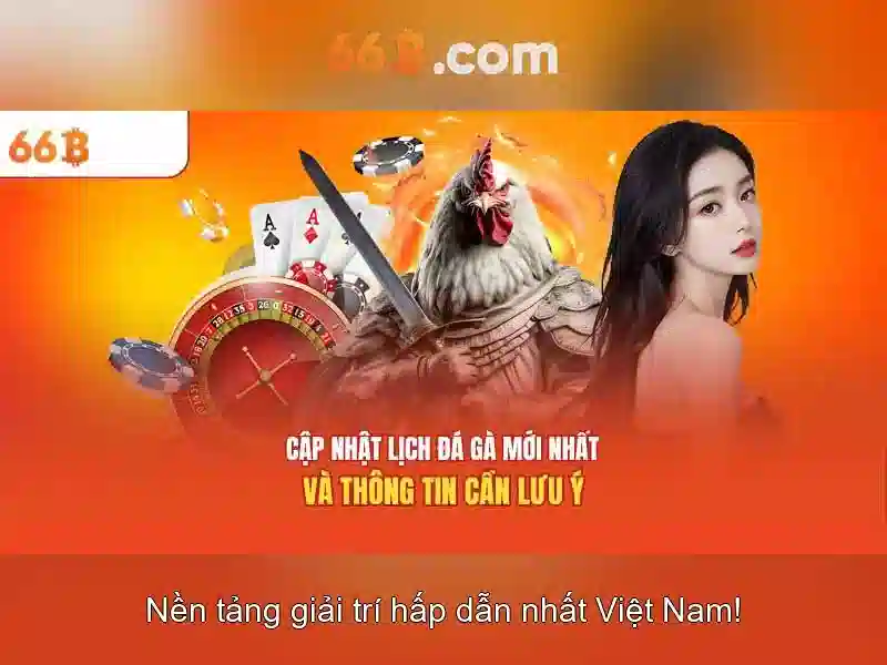 Đặc điểm nổi bật của 66B
