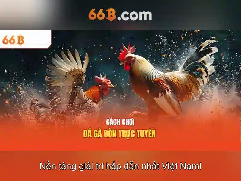 Giao diện nhà cái hoàn hảo