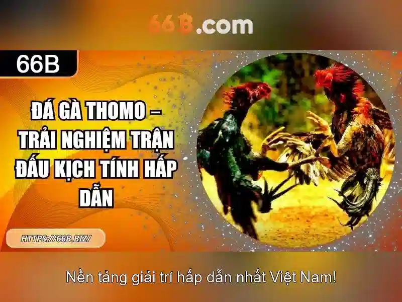 Ứng dụng và hướng phát triển