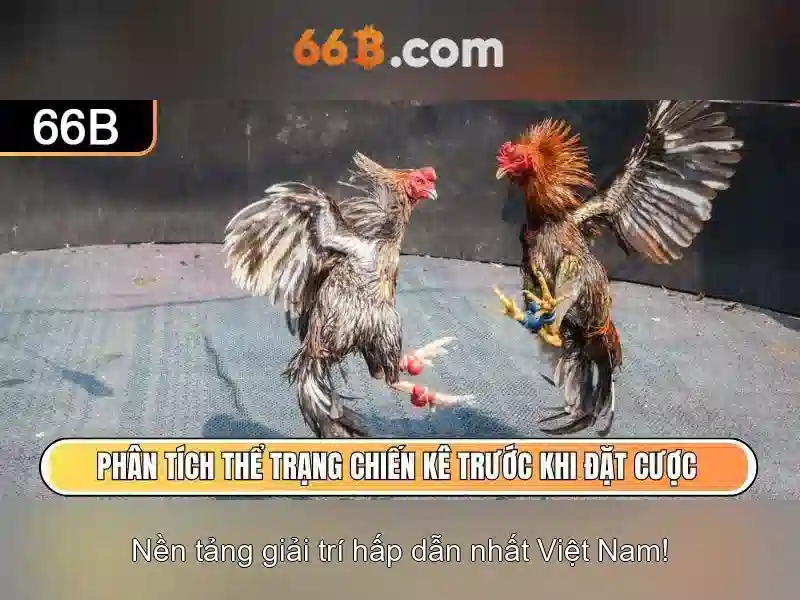 Cấu trúc và hiệu suất\n\n<h2><b>Ứng dụng và giới hạn</b></h2>\n<p><span style=