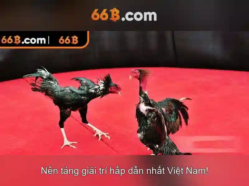 Đánh giá hiệu năng và thách thức\n<h>Ví dụ thực tế và tương lai</h><p><span style=