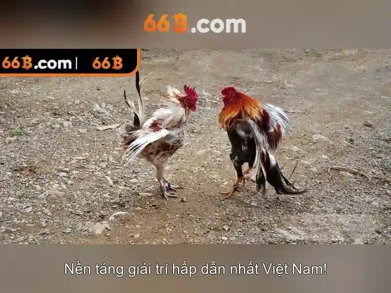 Kiến trúc và huấn luyện