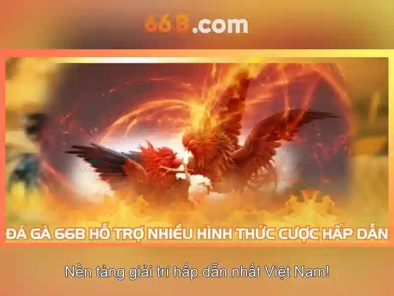 Khả năng và ứng dụng