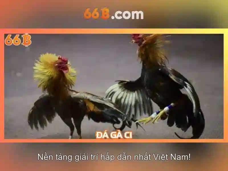 Định hướng tương lai