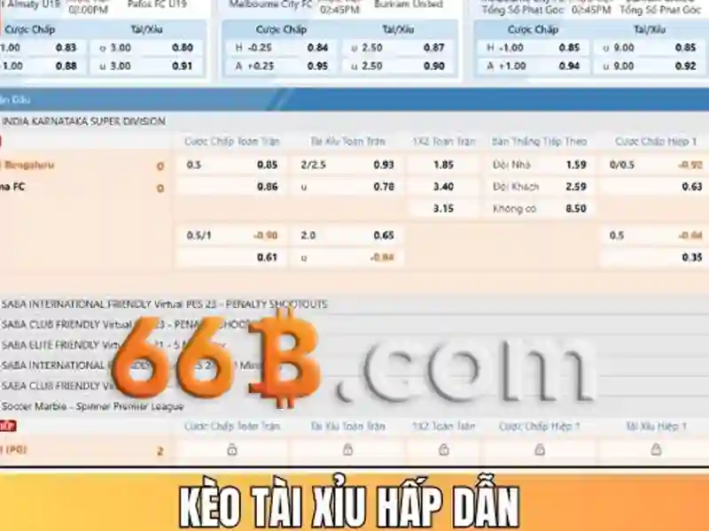 Cac san pham va dich vu lien quan den 66b nguyễn sỹ sách p15 quận tân bình