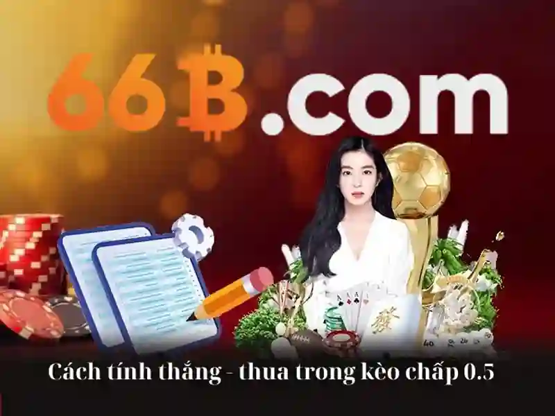 Sản phẩm và dịch vụ cốt lõi: ứng dụng thực tế của 66b cmt8