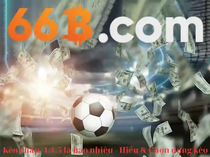66b và các mô hình tương lai