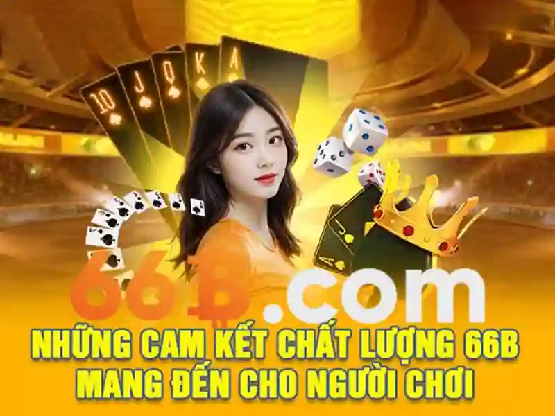 66b là gì