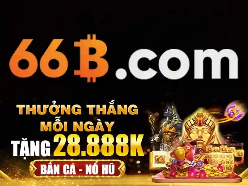 Trải nghiệm người dùng và Phản hồi cộng đồng