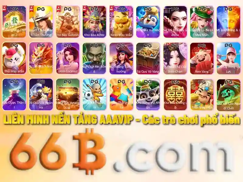 hỗ trợ 66b – Giới thiệu tổng quan